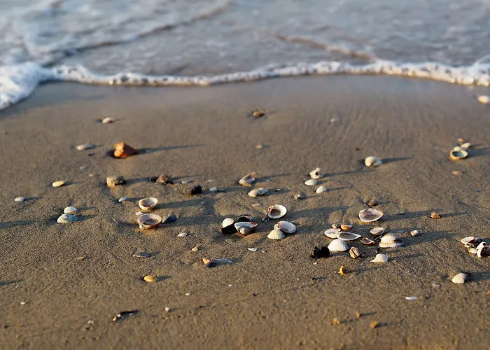 Adorable Flat With Terrace In - Beahost