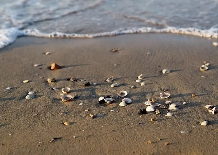 Adorable Flat With Terrace In - Beahost